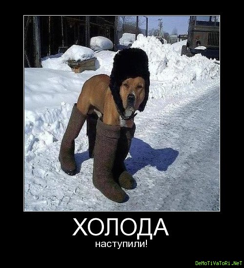 Холодно прикол