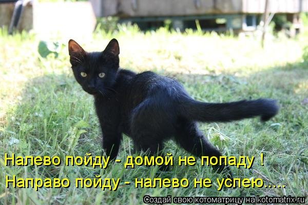 Домой картинки прикольные
