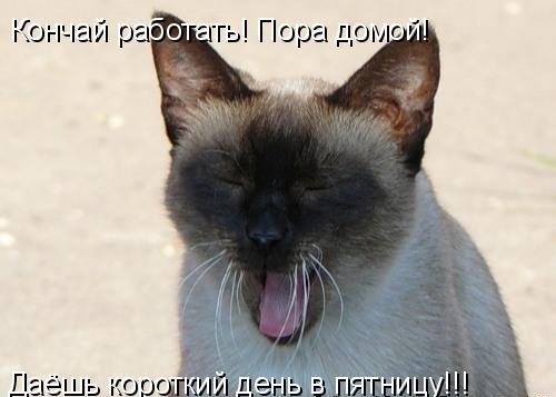 Пятница короткий день