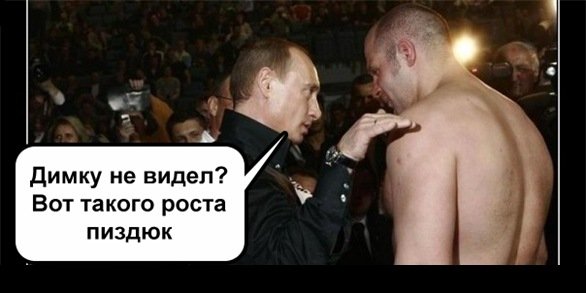 Дима мемы