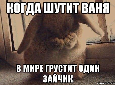 Смешные анекдоты про Ваню