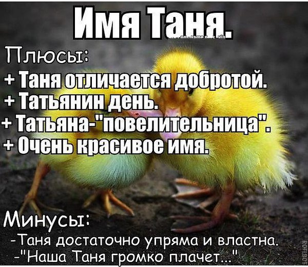 Смешные стихи про Таню