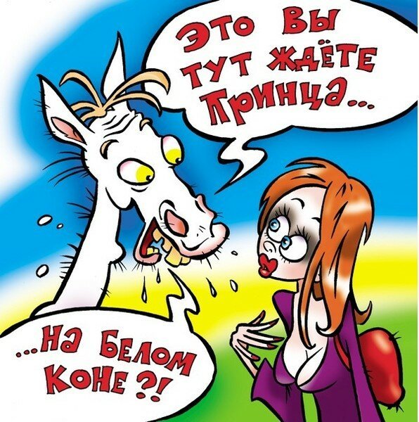 Пашу как лошадь смешные картинки