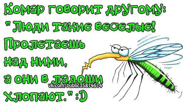 Комар прикол