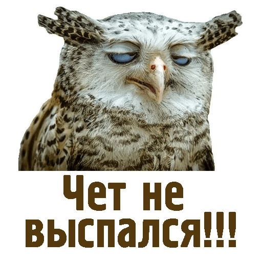 Не выспалась картинки
