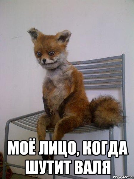 Шутки про валю