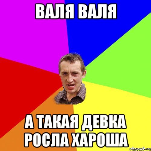 Приколы про Валька