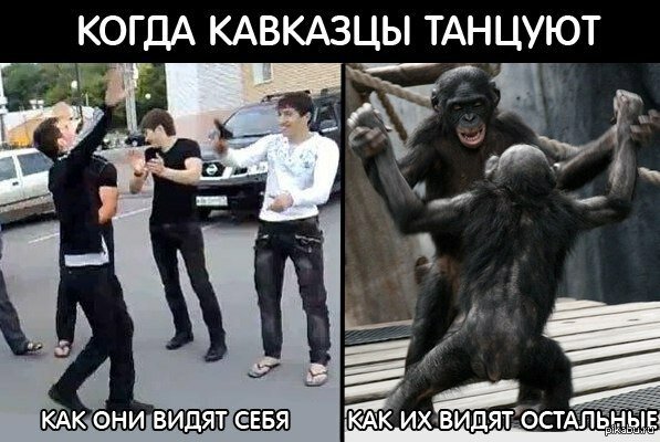 Кавказцы смешные картинки