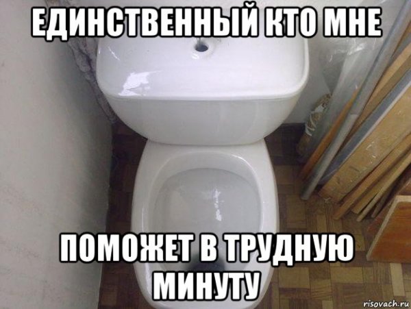 Унитаз с фотографией унитаза Мем