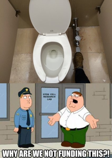 Бимбо унитаз