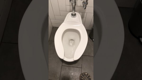 Крутящийся унитаз gif