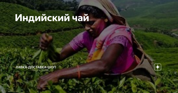 Индийский чай