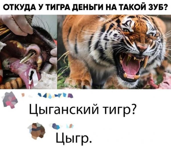 Рулет бисквитный тигровый