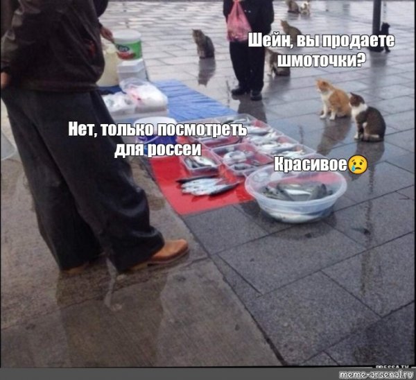 Мем про Рыбов