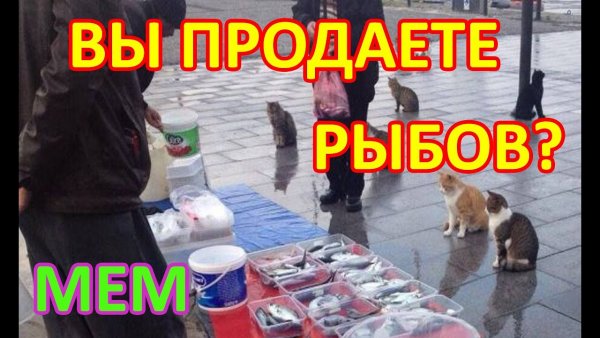 Мем про Рыбов