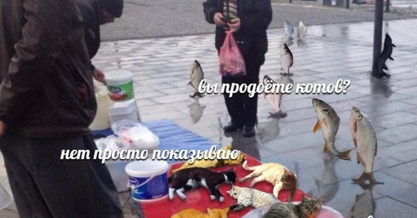 Рыбов продаете Мем
