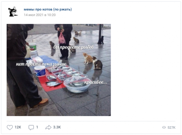 Коты вы продаете Рыбов