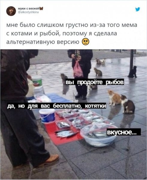 Мемы про котов вы продаете Рыбов