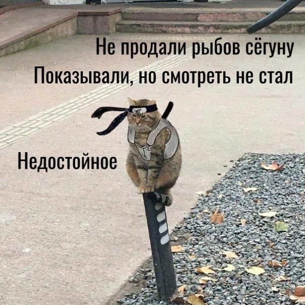 Рыбов показываете