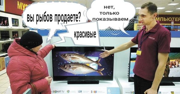 Рыбов продаете