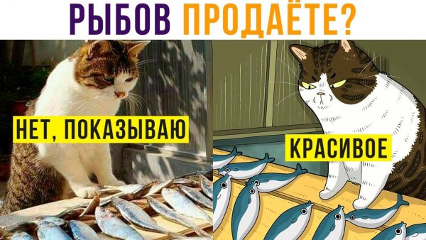 Мем вы продете красивое