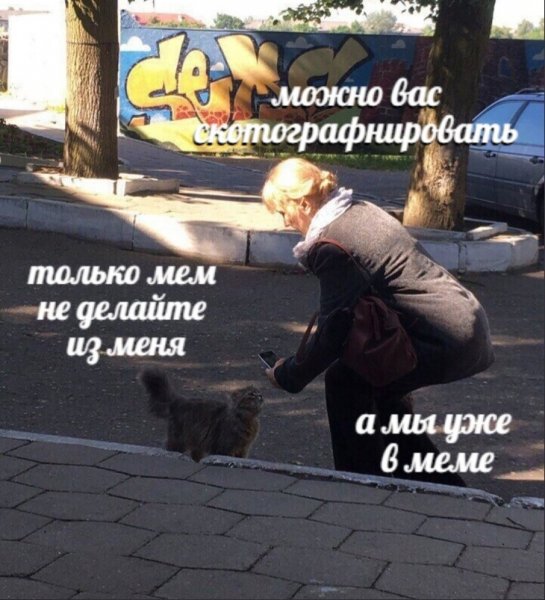 Мем про Рыбов