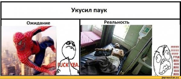 Мемы ожидание и реальность