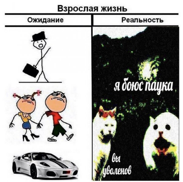Мемы ожидание и реальность