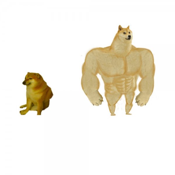 Собака качок Мем