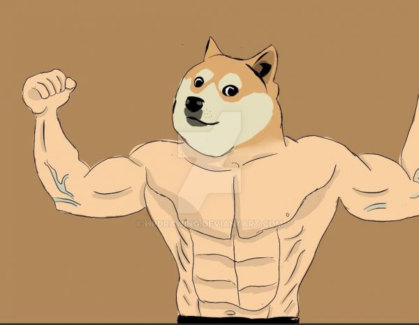 Собака силач