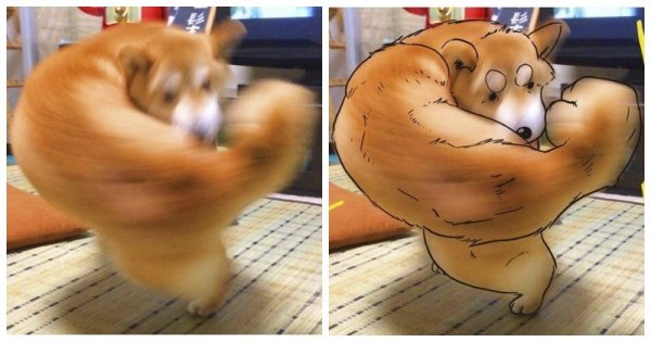 Собака силач