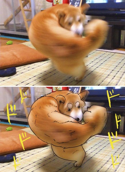 Собака с бицухой
