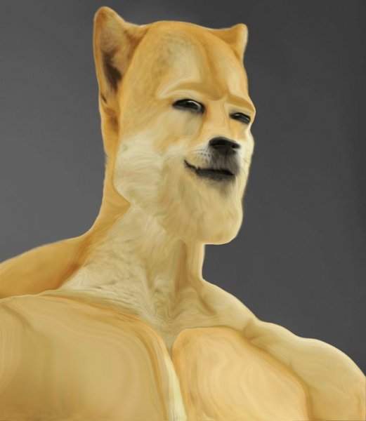 Качок доге