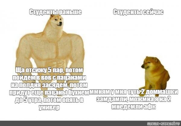 Собака силач Мем
