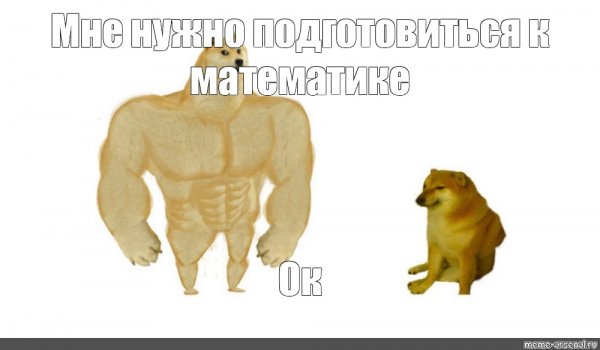 Собака качок Мем