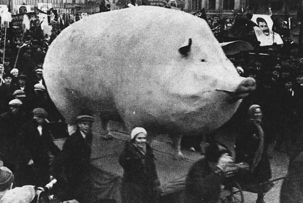 Самый большой Свин в мире