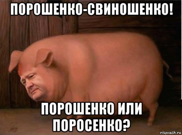 Поросенок Мем