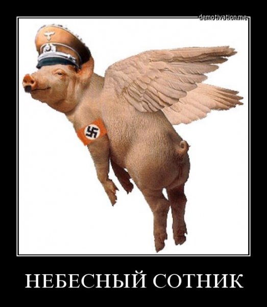 Мемы с украинскими свиньями