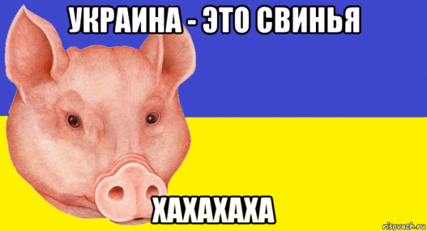 Николай Азаров Бимба
