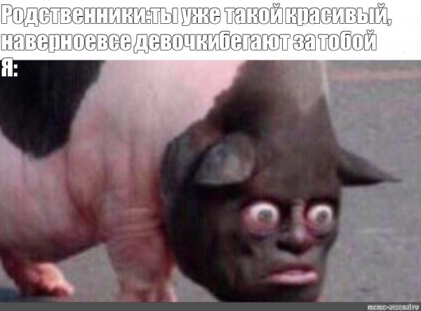 Здорово хохлы