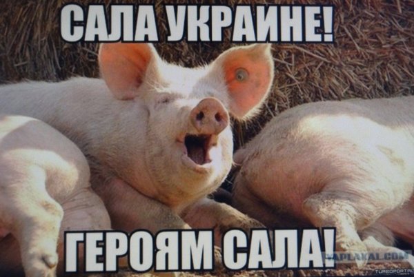 Николай Азаров Бимба