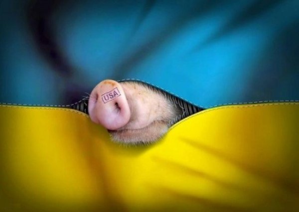 Николай Азаров Бимба