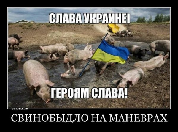 Украинская БIМБА