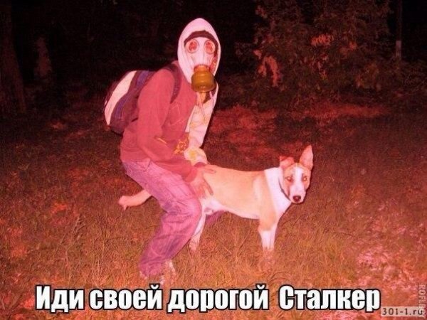 Иди своей дорогой сталкер латекс