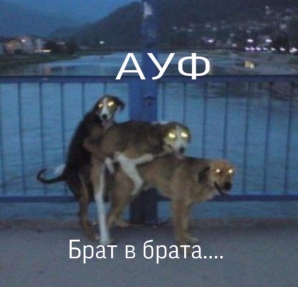 Сталкер юмор
