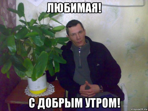 Мемы про утро