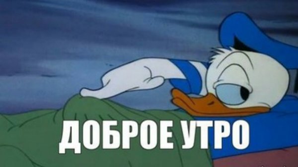 Мемы с добрым утром
