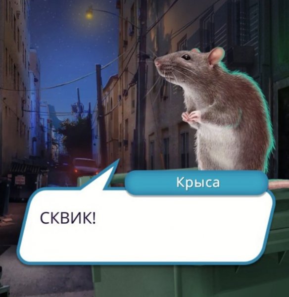 Крыса для мема