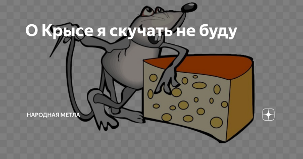 Ты крыса да я крыса картинка