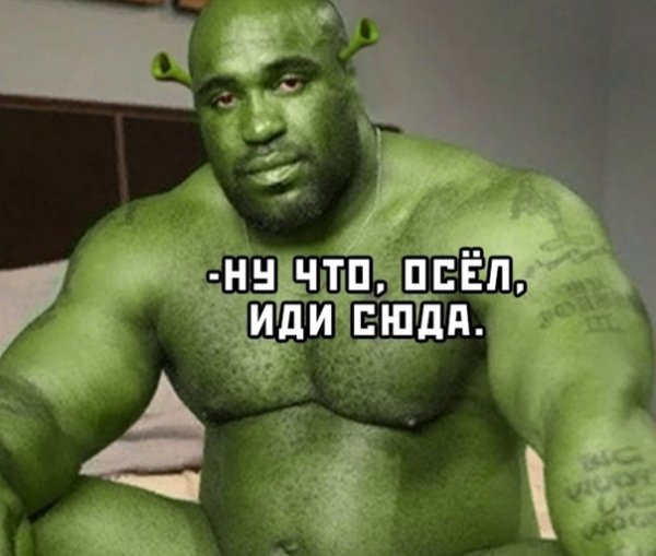 Фарид негр